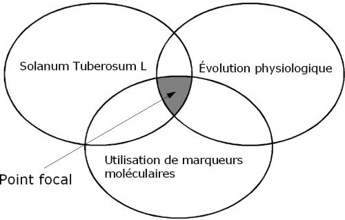représentation schématique